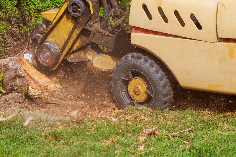 Stump Grinding Service detail