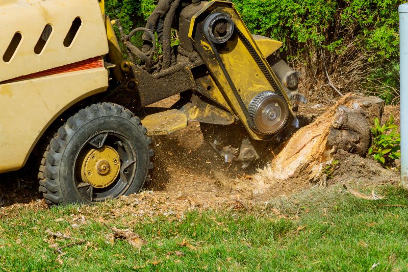 Stump Grinding Service detail