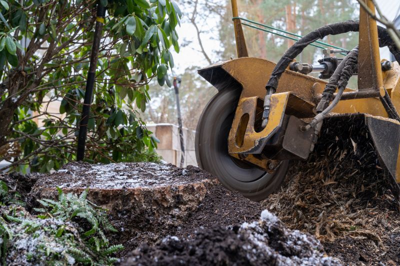 Stump Grinding Service detail