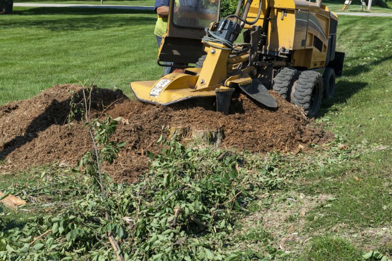 Stump Grinding Equipment in Use