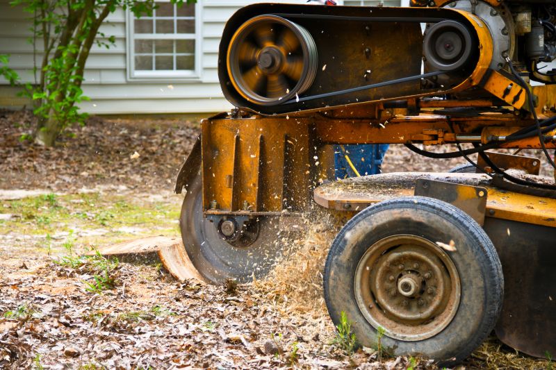 Stump Grinding in Progress