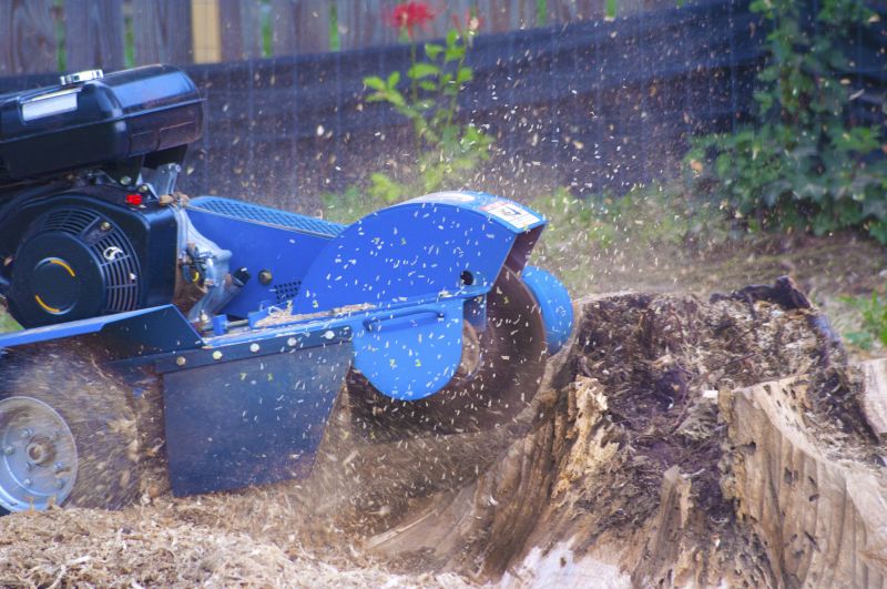 Professional Stump Grinding Equipment