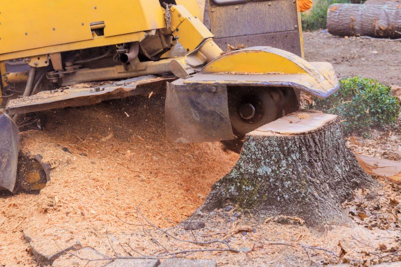 Tree Root Grinding