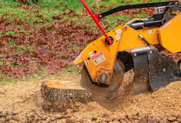 Stump Grinding Service in Acworth