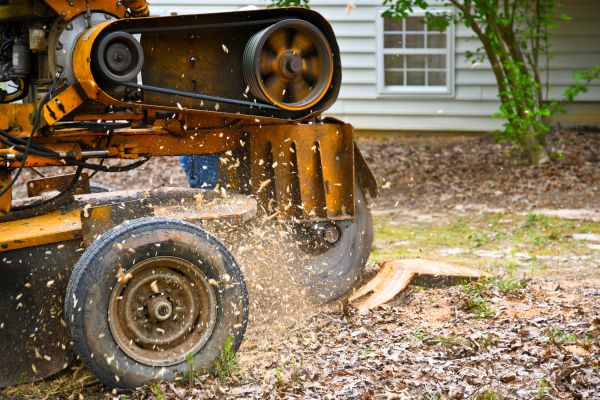 Stump Removal Service in Acworth